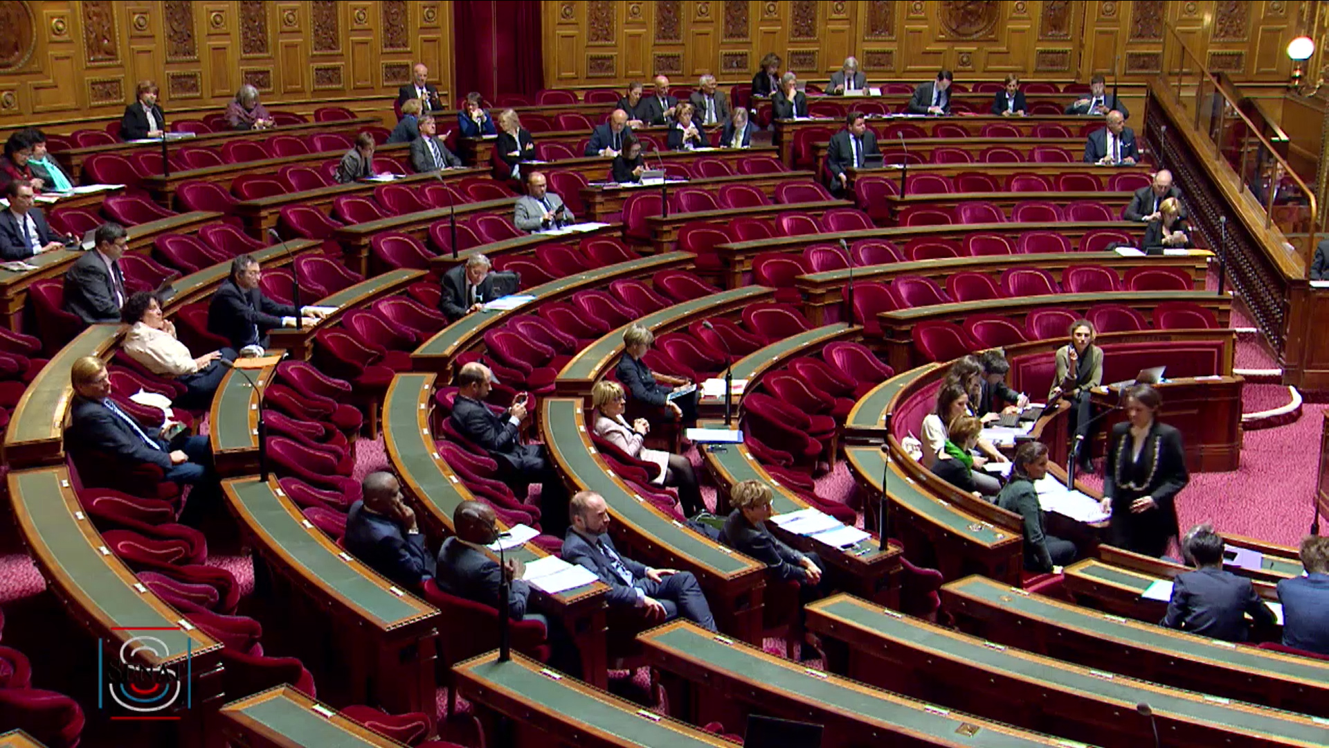 IVG : Le Sénat a débattu en séance publique sur la constitutionnalisation de l'interruption volontaire de grossesse